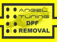 DPF REMOVAL