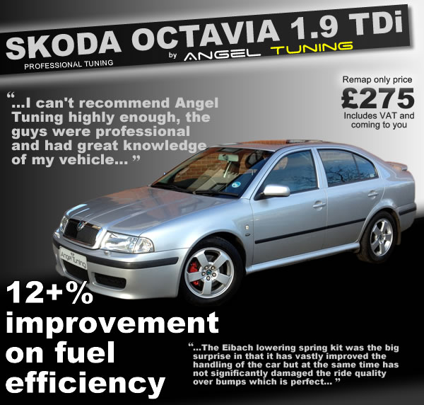 skoda-octavia-remapping-poster