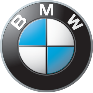 BMW100.png